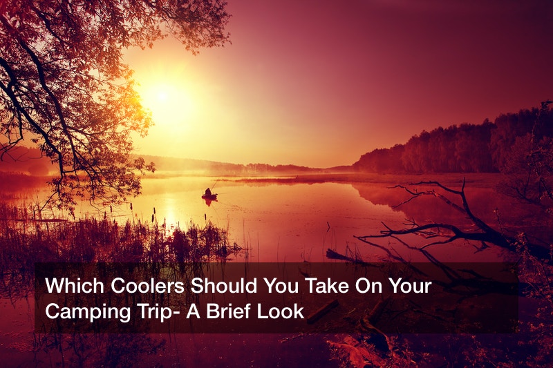Which Coolers Should You Take On Your Camping Trip? A Brief Look