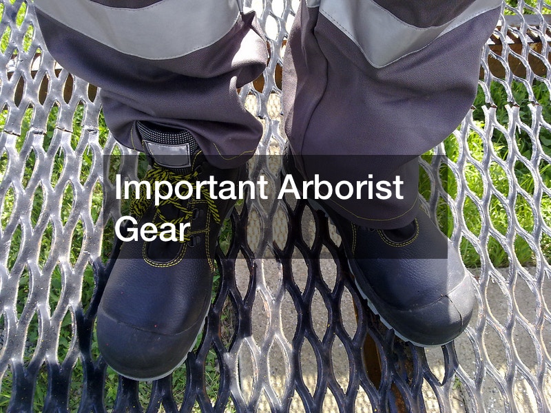 Important Arborist Gear